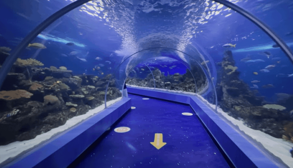 Fakieh Aquarium Jeddah Photo: Fakieh Aquarium Jeddah, Saudia Arabia Visiting Guide