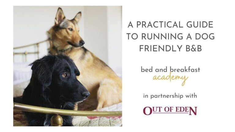 Bed And Breakfast That Allows Dogs