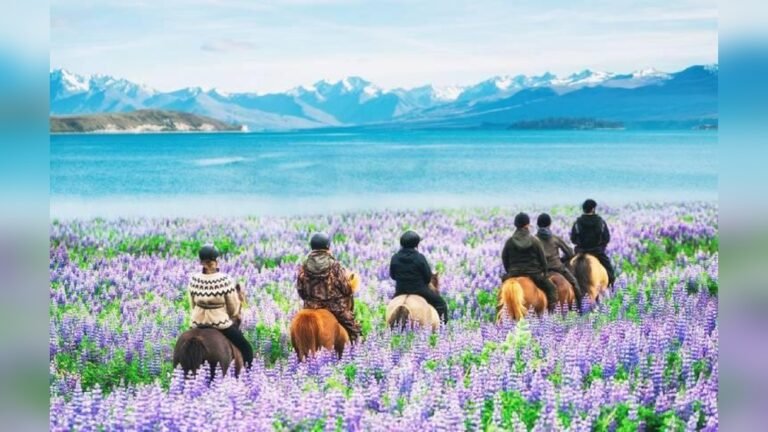 New Zealand Best Time to Travel