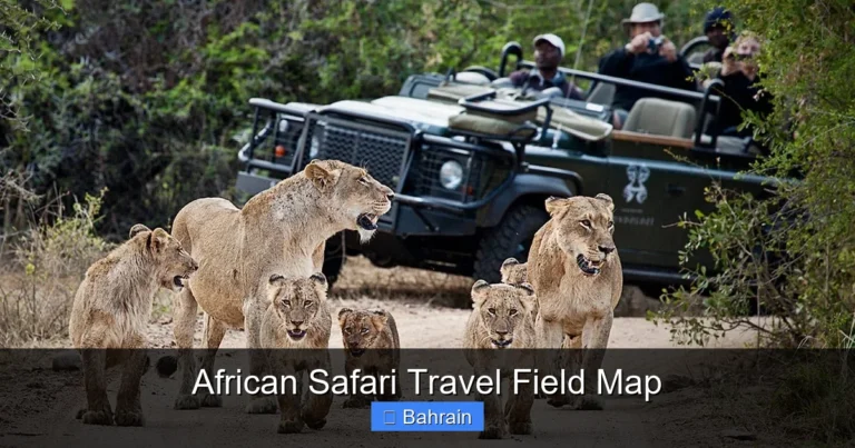 African Safari Travel Field Map