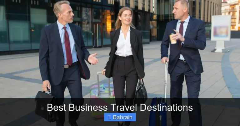 Best Business Travel Destinations