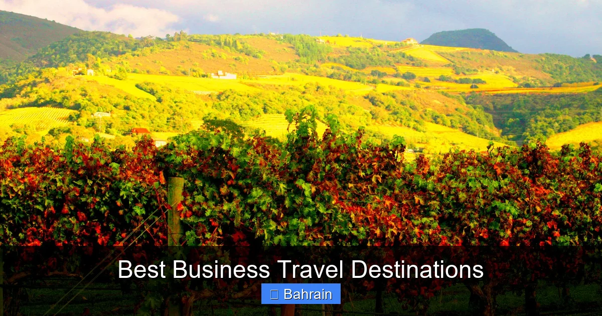 Best Business Travel Destinations