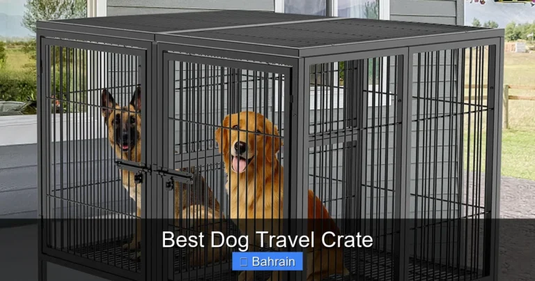 Best Dog Travel Crate