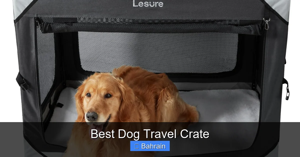 Best Dog Travel Crate