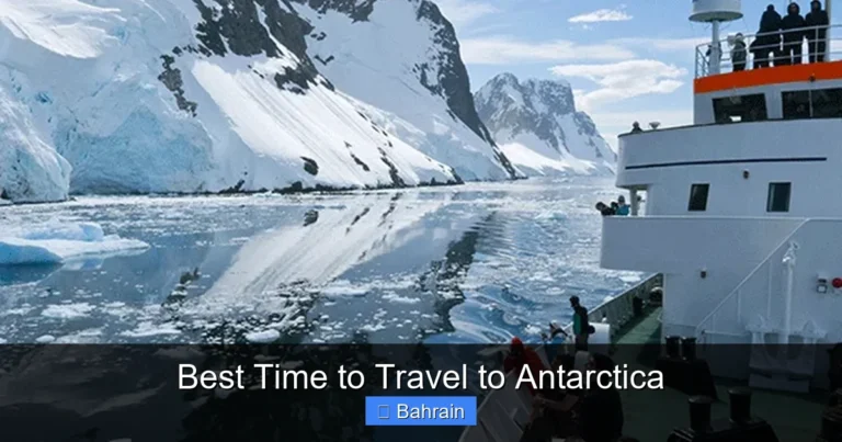 Best Time to Travel to Antarctica