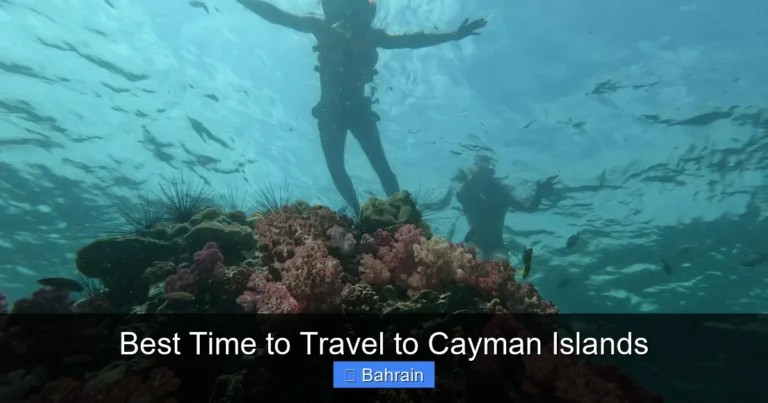 Best Time to Travel to Cayman Islands