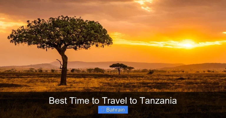Best Time to Travel to Tanzania