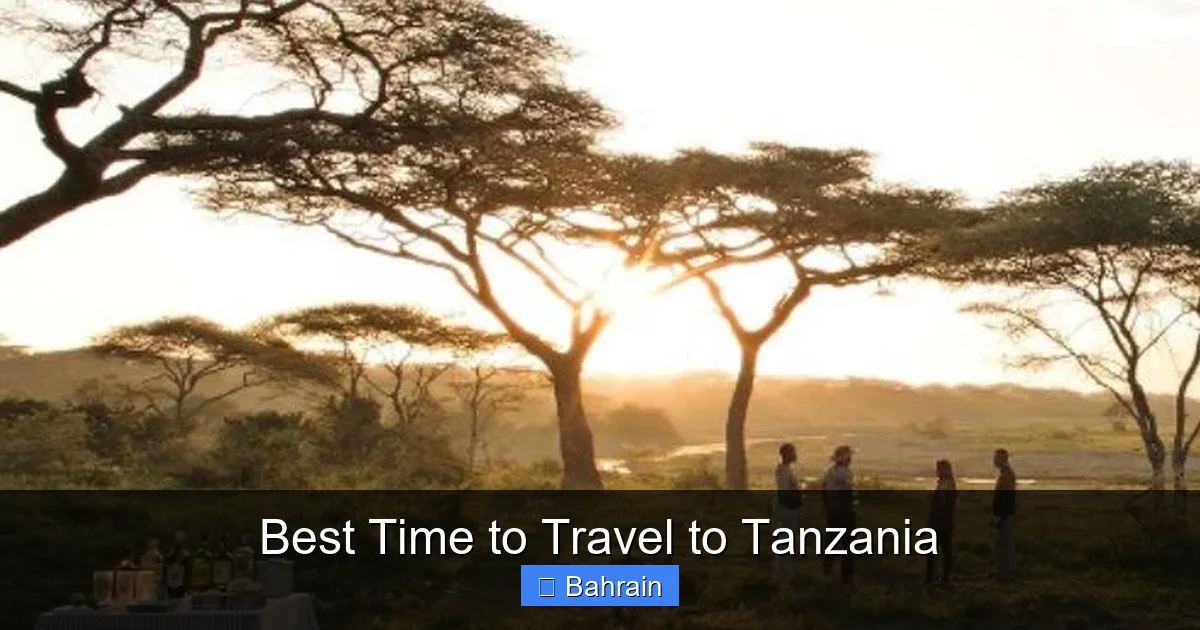 Best Time to Travel to Tanzania