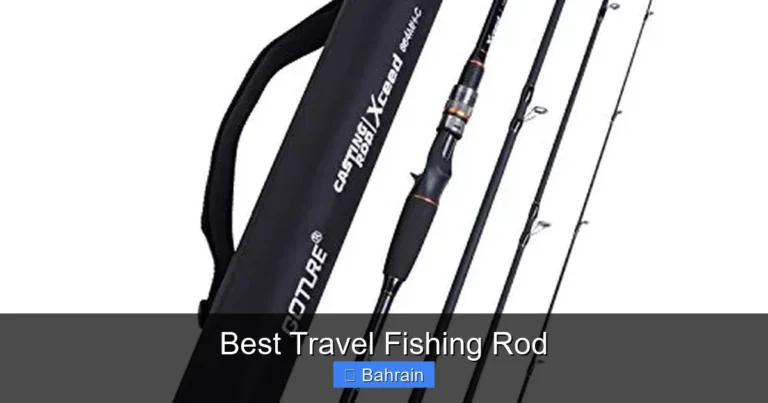 Best Travel Fishing Rod