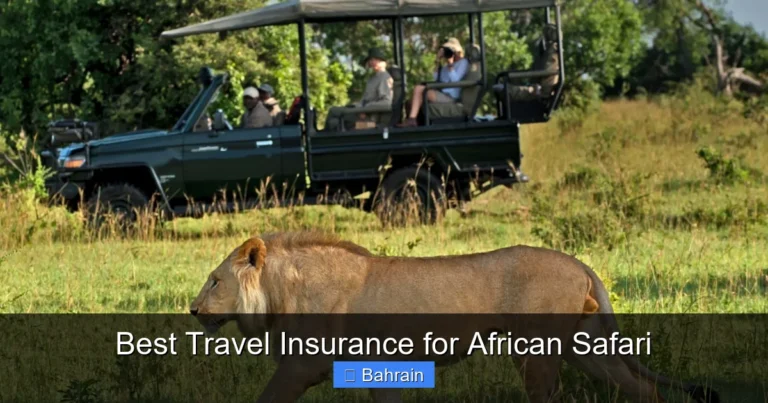 Best Travel Insurance for African Safari