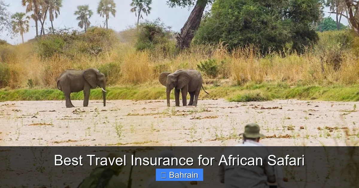 Best Travel Insurance for African Safari