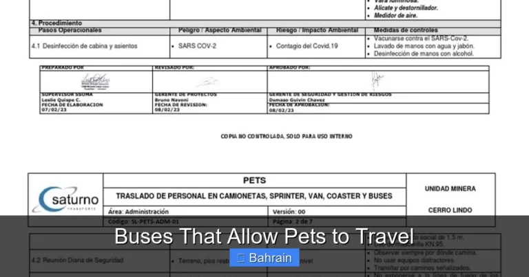 Buses That Allow Pets to Travel