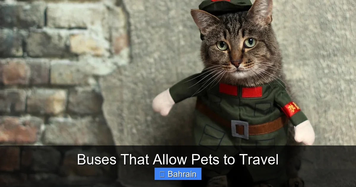 Buses That Allow Pets to Travel
