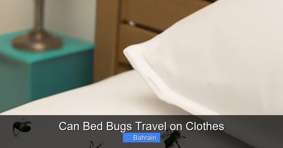 Can Bed Bugs Travel on Clothes