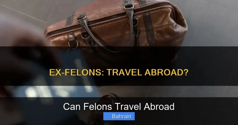 Can Felons Travel Abroad