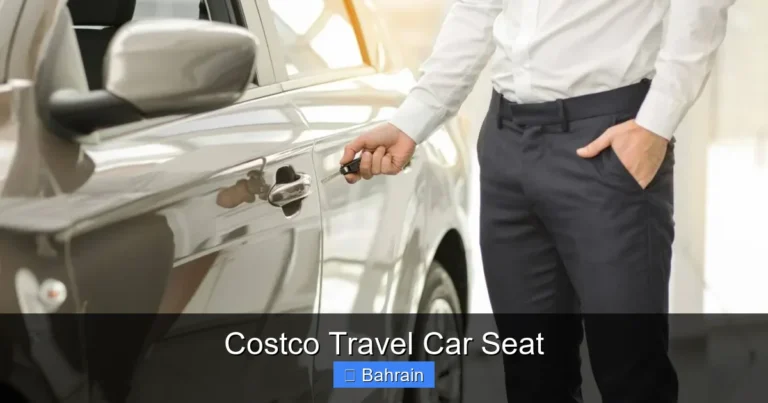Costco Travel Car Seat