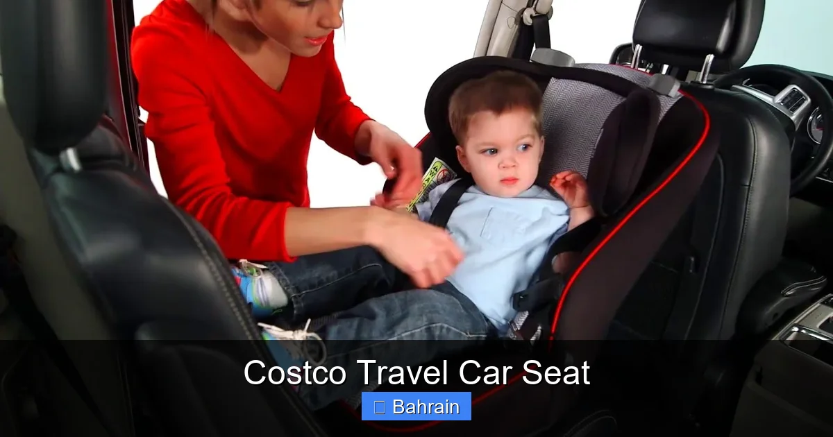 Costco Travel Car Seat