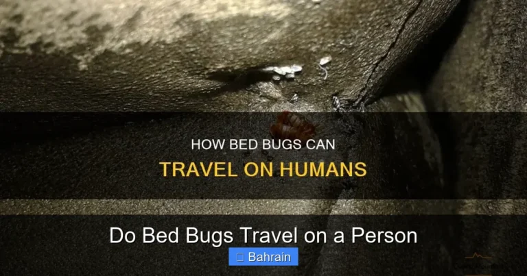 Do Bed Bugs Travel on a Person