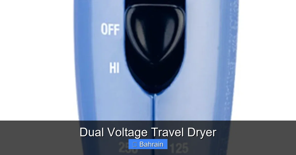 Dual Voltage Travel Dryer