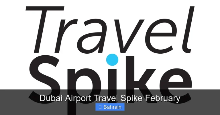 Dubai Airport Travel Spike February