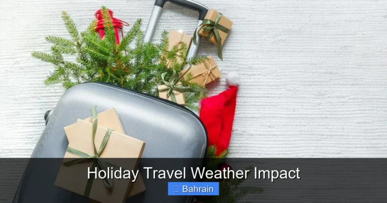 Holiday Travel Weather Impact