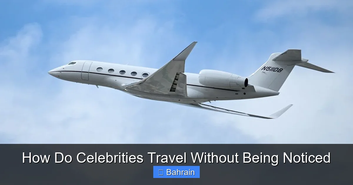 How Do Celebrities Travel Without Being Noticed