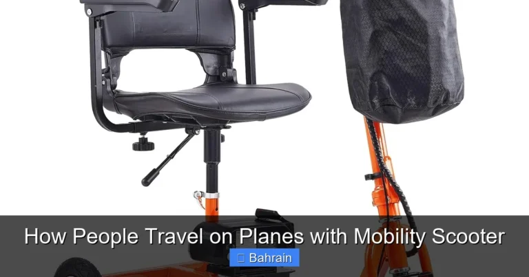 How People Travel on Planes with Mobility Scooter