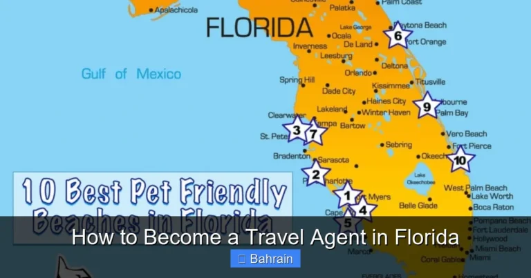 How to Become a Travel Agent in Florida