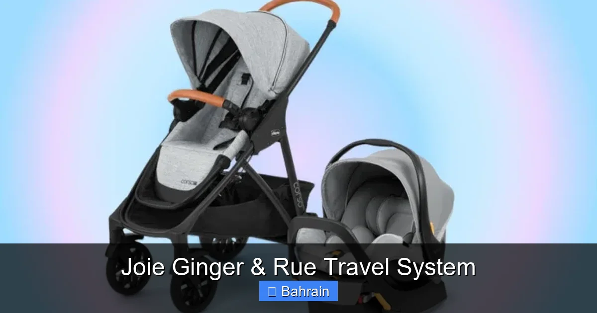 Joie Ginger & Rue Travel System