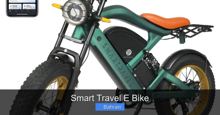 Smart Travel E Bike