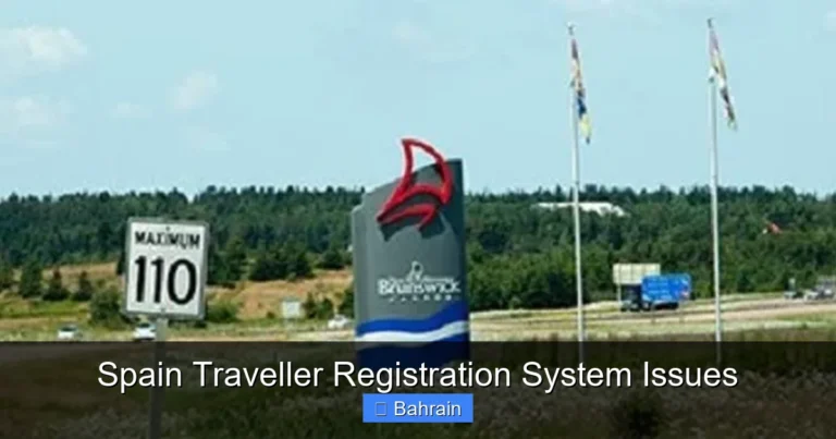 Spain Traveller Registration System Issues