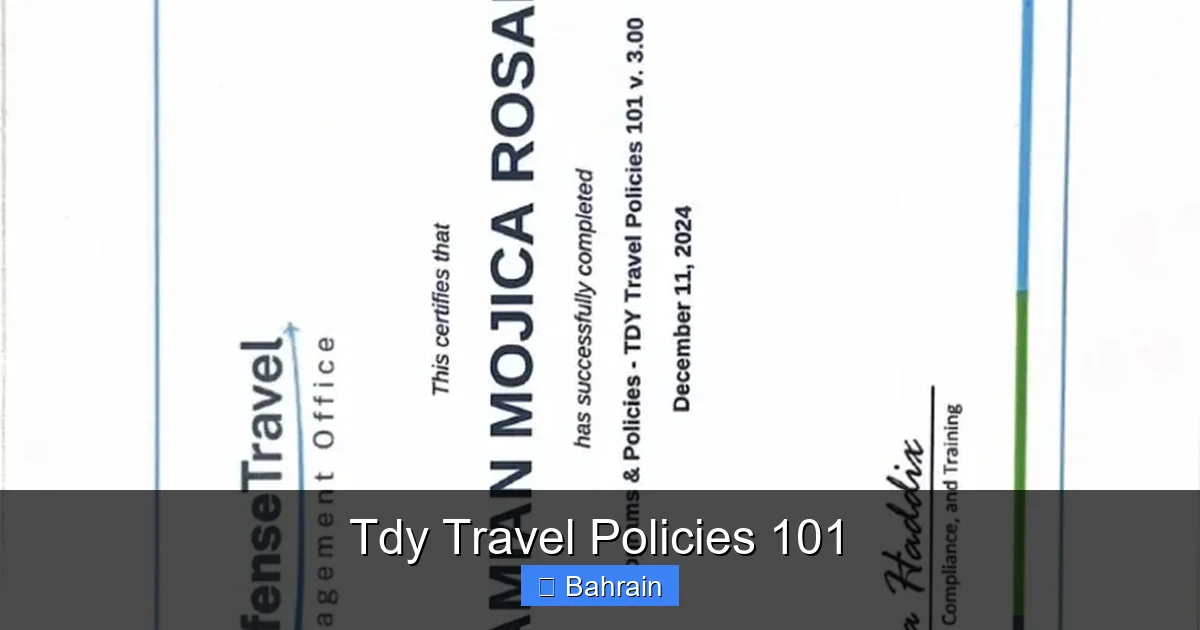 Tdy Travel Policies 101