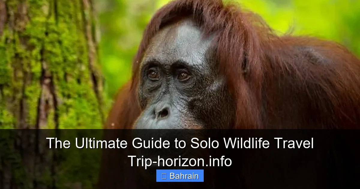 The Ultimate Guide to Solo Wildlife Travel Trip-horizon.info