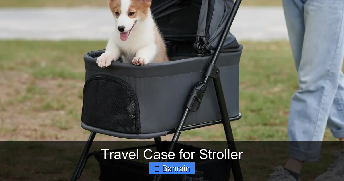 Travel Case for Stroller