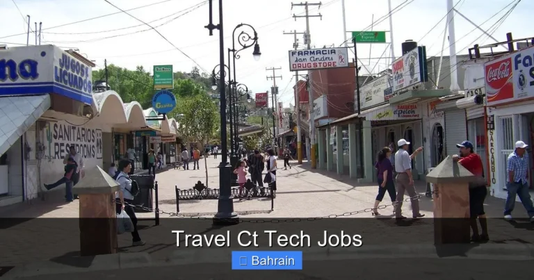 Travel Ct Tech Jobs