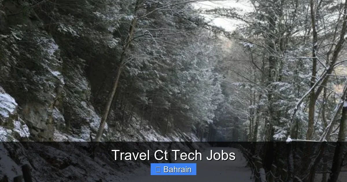 Travel Ct Tech Jobs