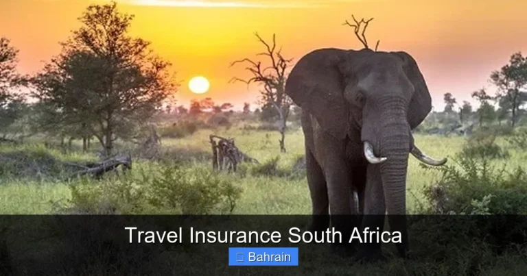 Travel Insurance South Africa
