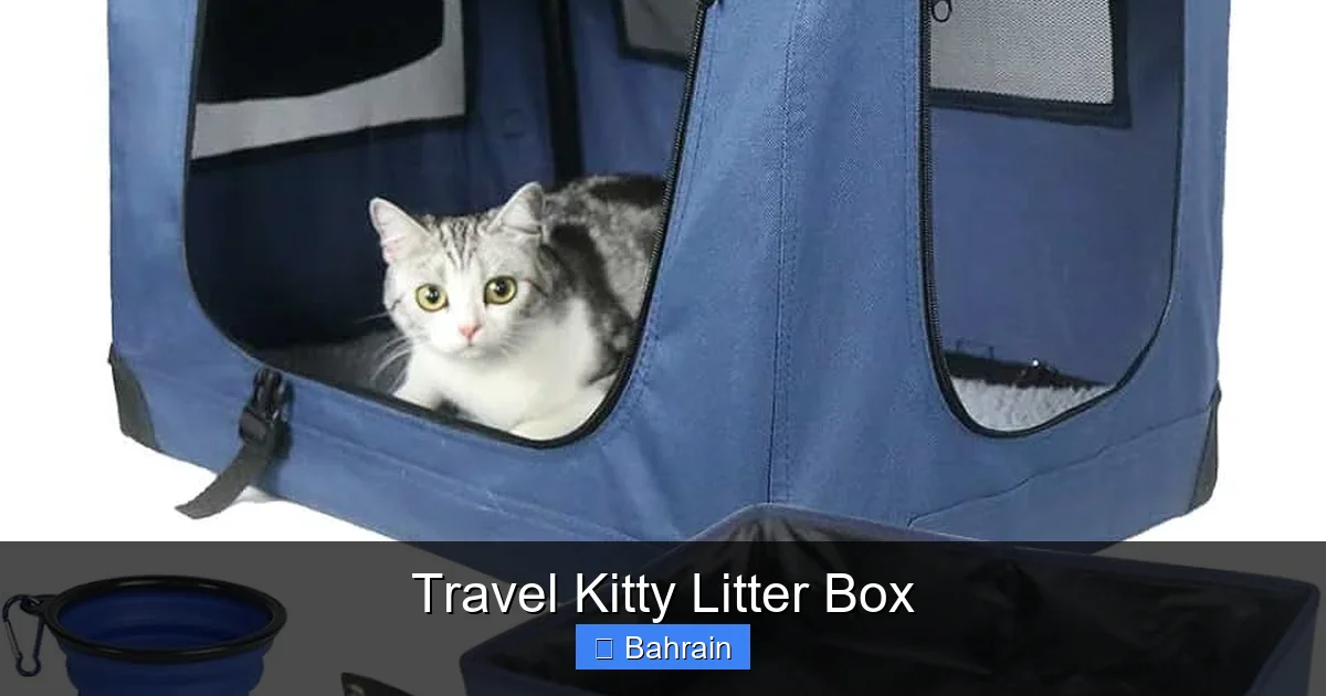 Travel Kitty Litter Box