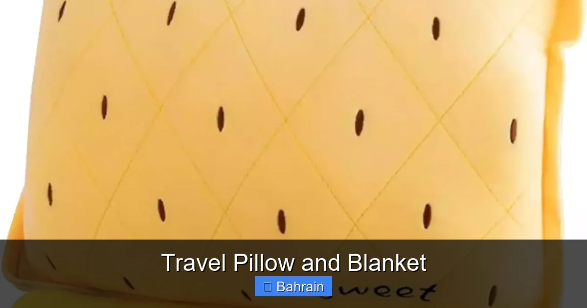Travel Pillow and Blanket