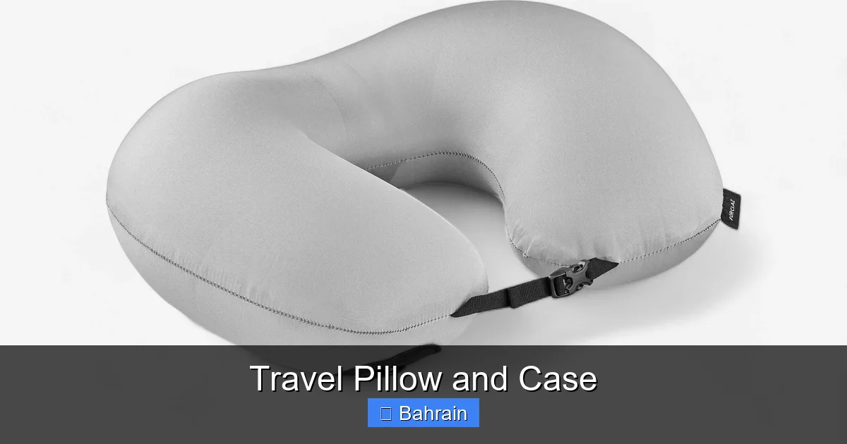 Travel Pillow and Case