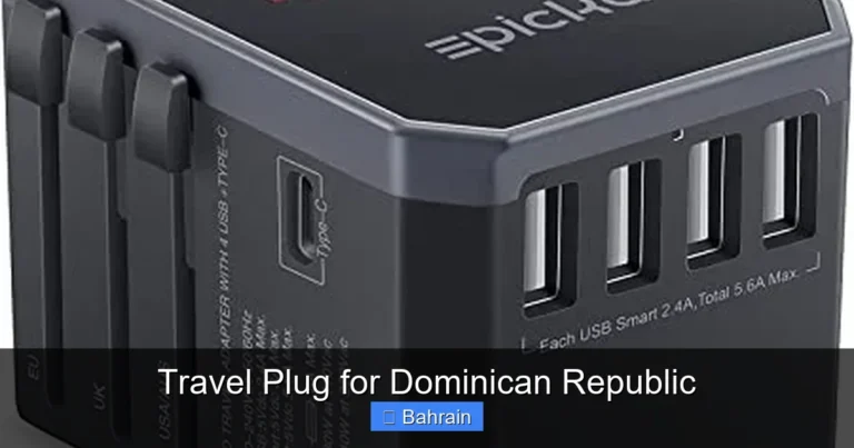 Travel Plug for Dominican Republic