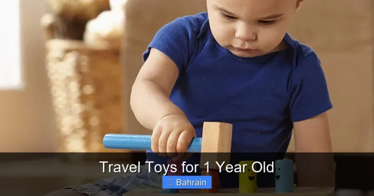 Travel Toys for 1 Year Old
