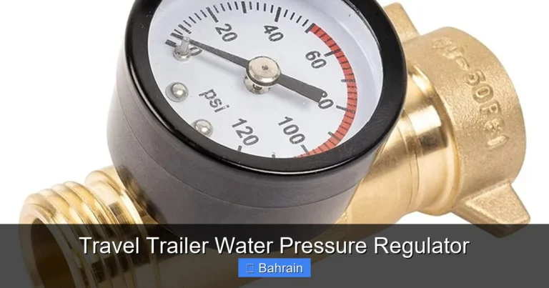 Travel Trailer Water Pressure Regulator