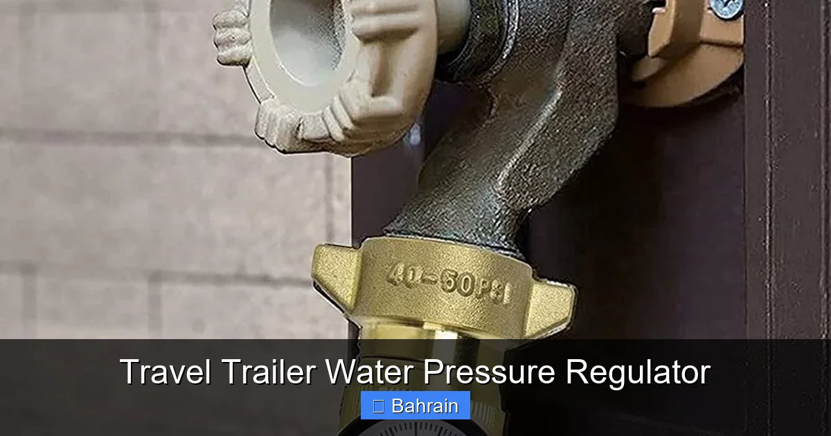 Travel Trailer Water Pressure Regulator