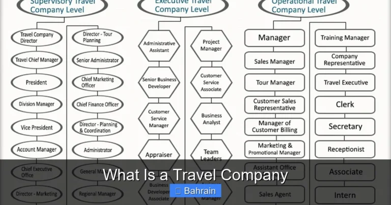 What Is a Travel Company